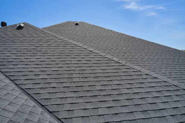 Best Roof Moss and Algae Removal  in Dayton, MN